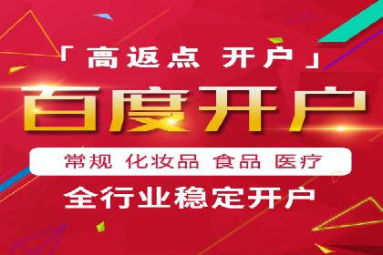 谷歌SEM案例研究：数据分析与效果评估